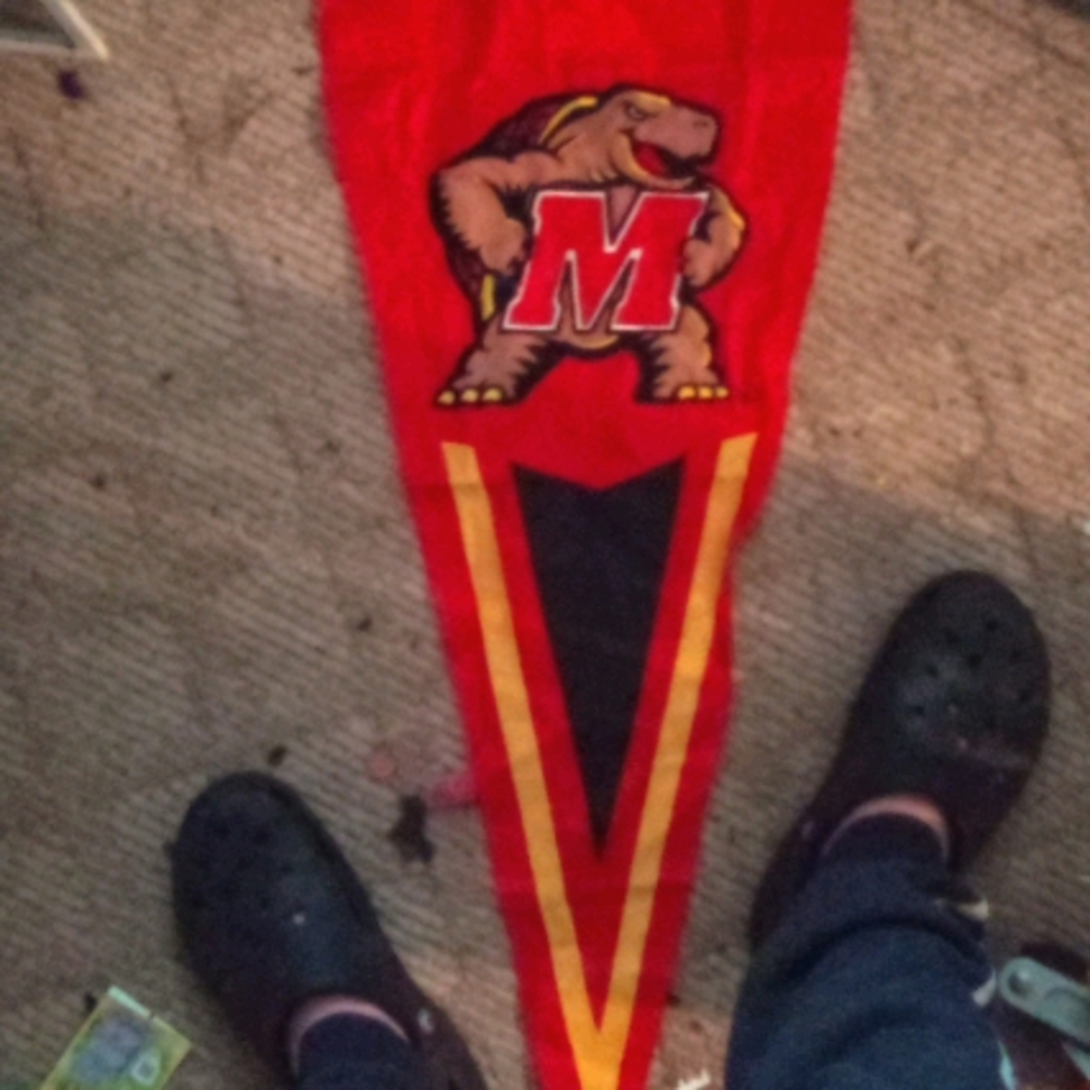 maryland terpins flag